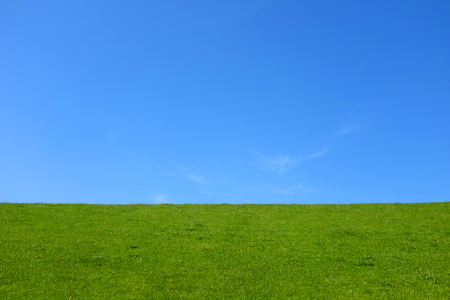 Idyllic green meadow with bright blue skyの写真素材