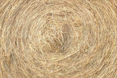 Close up of a hay baleの写真素材