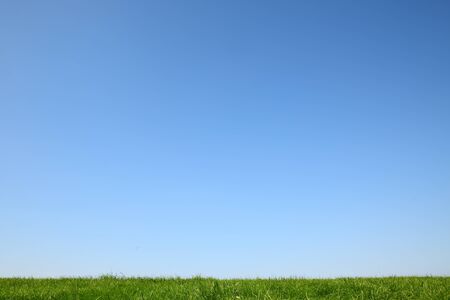 Idyllic green meadow with bright blue skyの写真素材
