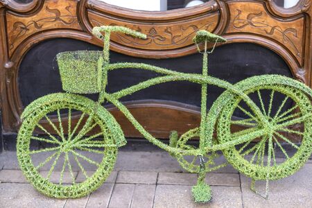 bicycle from green grass standing near vintage wooden doorの写真素材