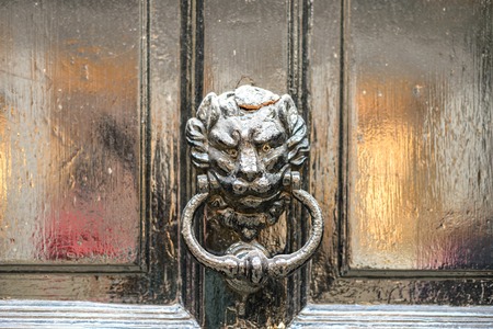 ancient door knoker with lion from metalの写真素材