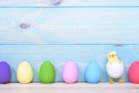 Easter eggs on wooden background with chicken in egg.の写真素材