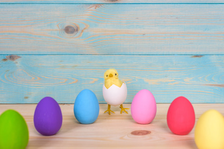 Easter eggs on wooden background with chicken in egg.の写真素材