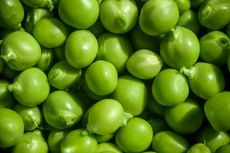 Green Peas background texture vegetable. fresh green peas background texture top viewの写真素材