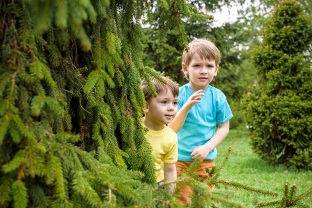 Two little caucasian brother boys playing outdoor in the park near trees on summer or spring. Surprised happy smiling faces. Selective focus on boyの写真素材