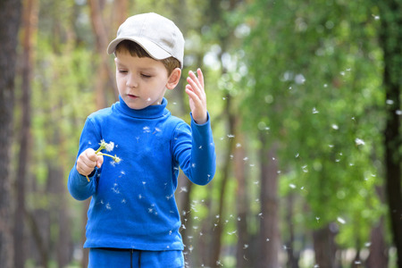 Cute 4 years old boy with dandelion outdoors at sunny summer dayの写真素材