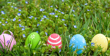 colorful Easter egg in the fresh spring meadow. green grass and blue flowers selective focus on...