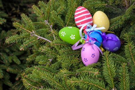 Still life with easter Easter eggs lying on fir-tree branches. Close-up, outdoors.