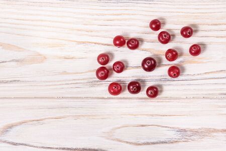 Wild cranberries Vaccinium oxycoccus , top view. Clipping paths