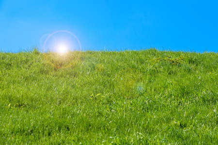 Green grass and blue sky with white clouds.の写真素材