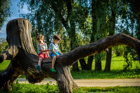 Two boys are sitting on a log. The child walks in the summer park or forest. The kid sits on a fallen tree. Outdoor fun for children.の写真素材