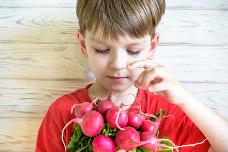 Fresh organic radish in child hands. Healthy food. Organic vegetables.の写真素材