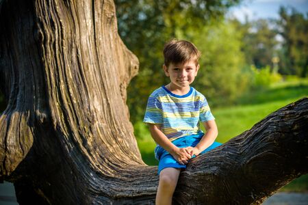 The boy is sitting on a log. The child walks in the summer forest. The kid sits on a fallen tree.の写真素材