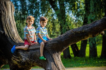 Two boys are sitting on a log. The child walks in the summer park or forest. The kid sits on a fallen tree. Outdoor fun for children.の写真素材