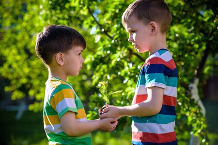 People kids sibling brother boy holding young plant in hands against green spring background. Earth day ecology holiday conceptの写真素材