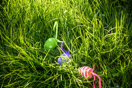 Decorated easter eggs in grass on sunny warm spring day. Traditional egg hunt concept.