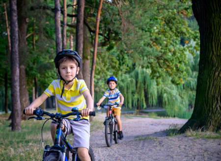 Two little kid boys in colorful casual clothes in summer forest park driving bicycle. Active...