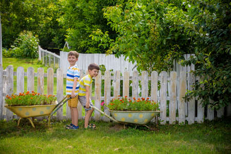 Two Little boys is playing holding a retro wheelbarrow with a harvest of flowers. Summer vocation on village concept.の写真素材