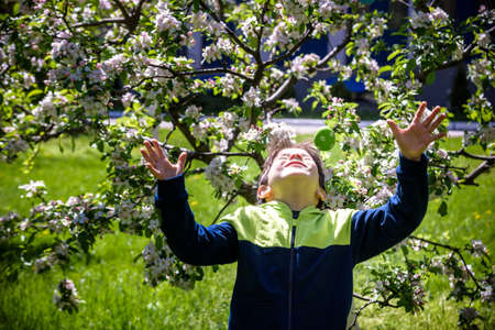 Boy throwing up color Easter Eggs after egg hunt. Traditional Easter concept. Happy boy smiling on green blooming field background.の写真素材