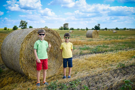 Two little boy stand among round haystack. Field with round bales after harvest under blue sky. Big round bales of straw, sheaves, haystacks.の写真素材