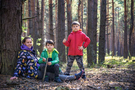 Family with mother and two children boy sibling brothers sits in the forest on felled logs or grass in summer. Happy family in colorful clothes have a hike in autumn forest.の写真素材