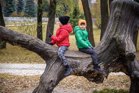 Two boys are sitting on a log. The child walks in the summer park or forest. The kid sits on a fallen tree. Outdoor fun for children.の写真素材