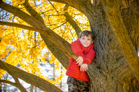 Portrait of cute kid boy sitting on the big old tree on sunny day. Child climbing a tree. little boy...