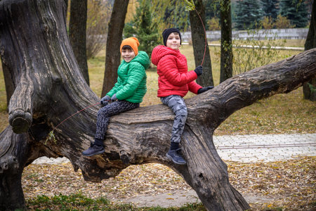 Two boys are sitting on a log. The child walks in the summer park or forest. The kid sits on a fallen tree. Outdoor fun for children.の写真素材