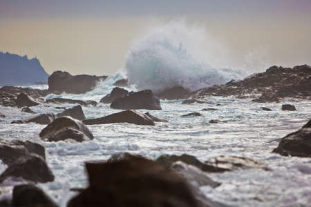 ocean wild beach rocks