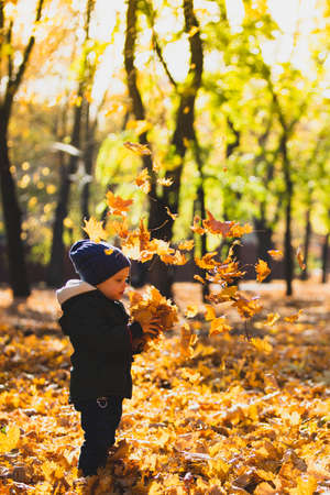 boy in autumn leavesの写真素材