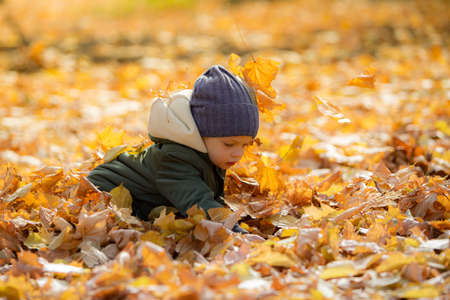 boy in autumn leavesの写真素材