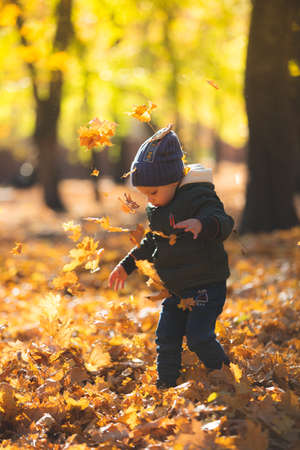 boy in autumn leavesの写真素材
