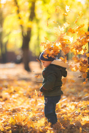 boy in autumn leavesの写真素材