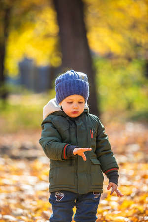 boy in autumn leaves with ladybugの写真素材