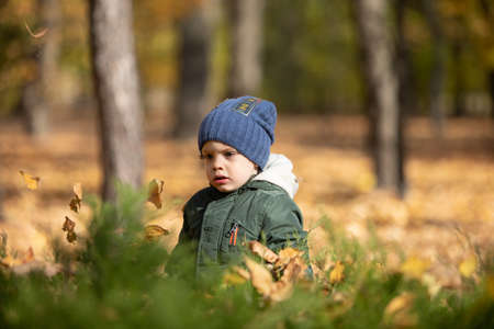 boy in autumn leavesの写真素材