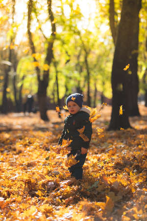 boy in autumn leavesの写真素材
