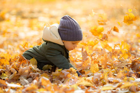 boy in autumn leavesの写真素材