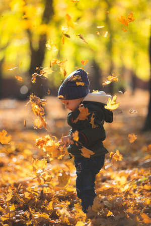 boy in autumn leavesの写真素材