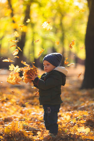 boy in autumn leavesの写真素材