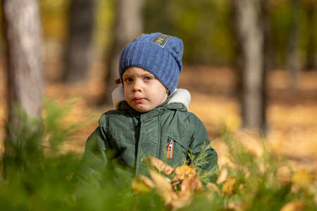 boy in autumn leavesの写真素材