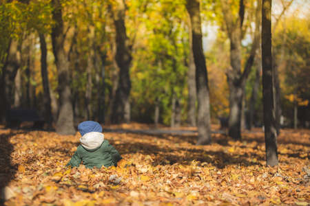 boy in autumn leavesの写真素材