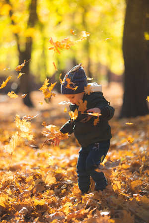 boy in autumn leavesの写真素材