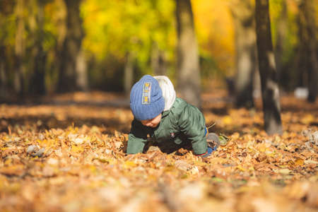 boy in autumn leavesの写真素材