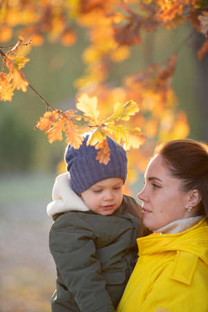 boy with mom in autumn in the leavesの写真素材