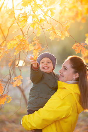 boy with mom in autumn in the leavesの写真素材