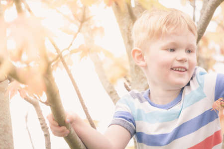Happy Boy climbing trees in the woods. Toddler smiling while playing in the woods climbing trees during the autumn session.の写真素材