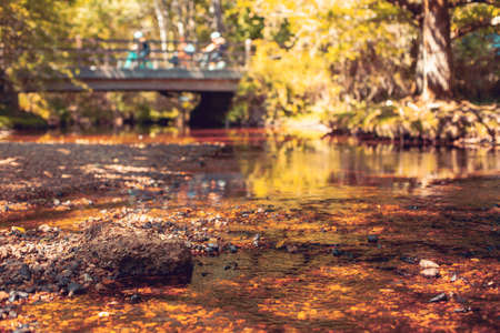 Slow flowing river under a bridge with 3 cyclist crossing the bridge in the New Forest. river in the New Forest.の写真素材