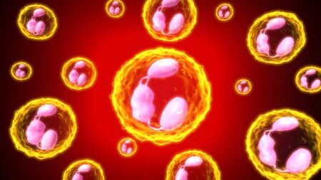 3d render human body white cells