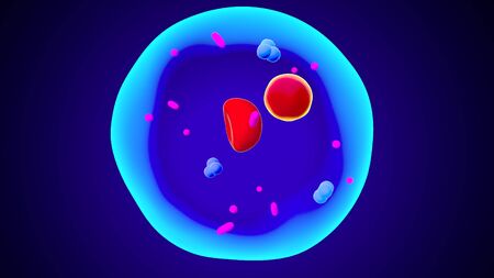 human blood cellsの写真素材