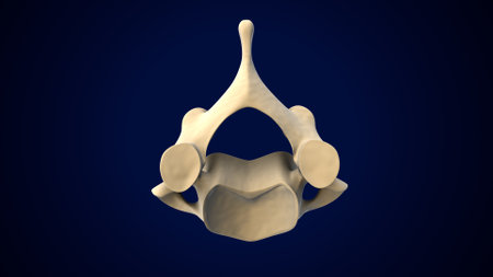 3d rendering of a mask on a blue background. Medical conceptの写真素材